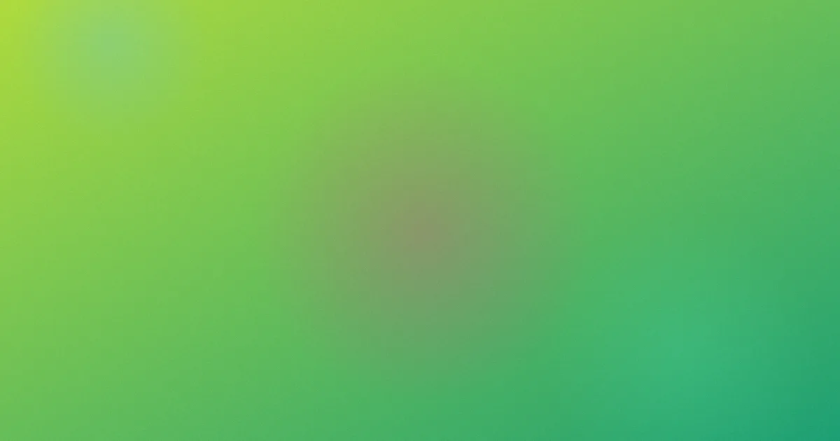 托卡测评：这些坑我替你踩过了